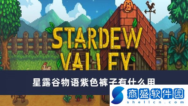星露谷物語(yǔ)紫色褲子有什么用