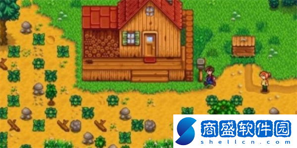 星露谷物語衣帽櫥怎么獲得