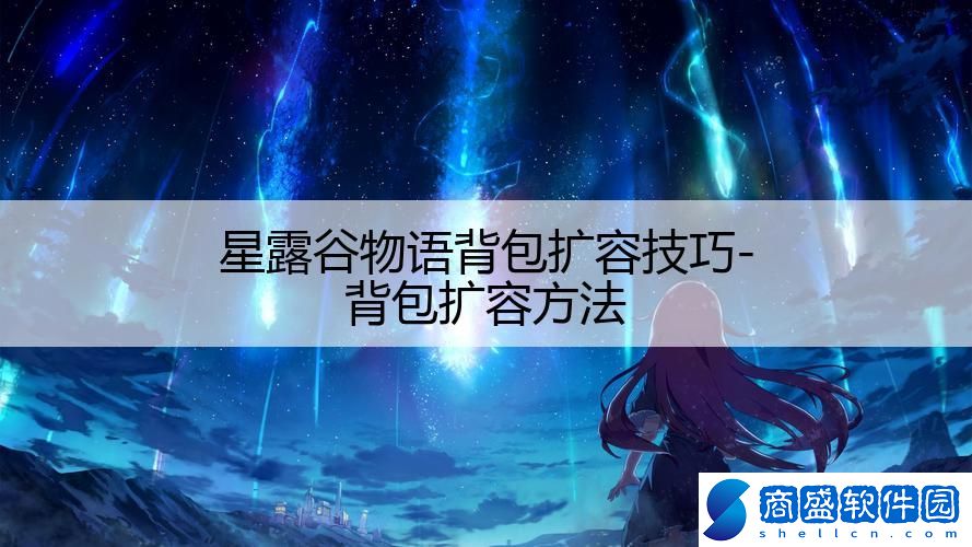 星露谷物語背包擴容技巧-背包擴容方法