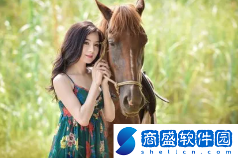 三亞私人高清影院品牌加盟費多少