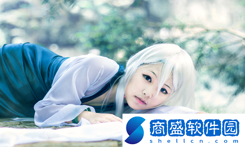 saascrm國(guó)內(nèi)免費(fèi)pdf