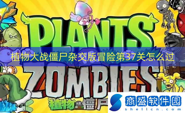 植物大戰僵尸雜交版冒險第37關怎么過
