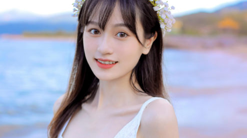 成免費的crm