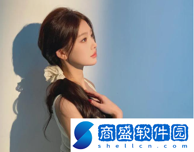 wordpress成品網(wǎng)站