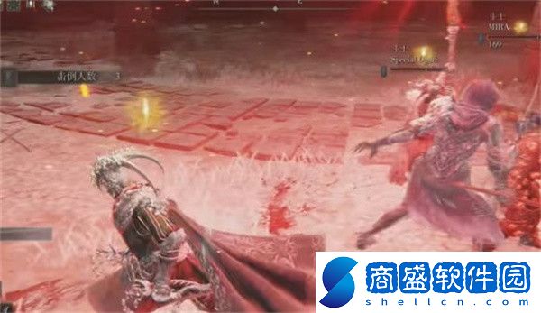 艾爾登法環競技場怎么進入