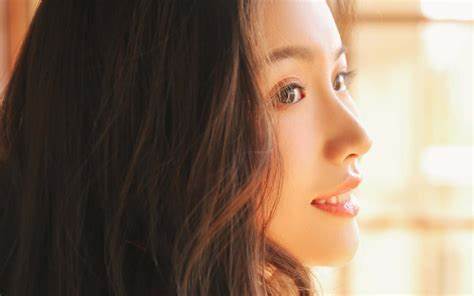 CAD免費(fèi)高清視頻3.1