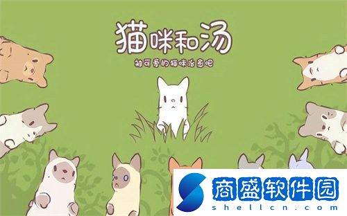 貓咪和湯新手怎么快速入門(mén)