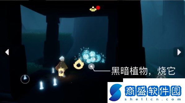 光遇5.6任務是什么