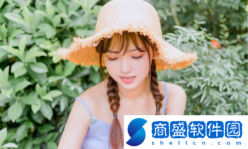 國外免費SVN：五大平臺助力團隊高效協作與項目管理