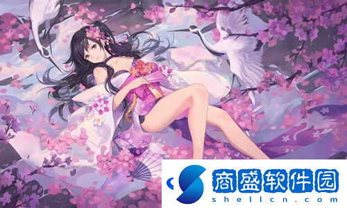 日本W(wǎng)INDOWSSERVER