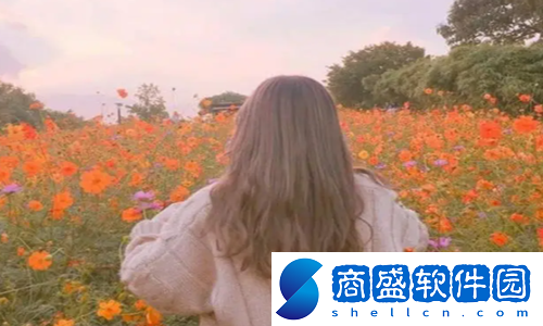 老婆提出換老公游戲：增進夫妻理解與溝通的創(chuàng)新互動方式