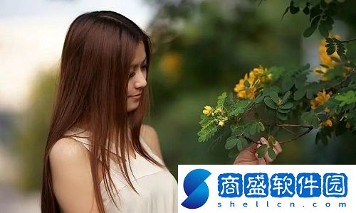 伊春園2023入口直達大象：親密接觸溫順巨獸，便捷體驗自然與生態保護之旅
