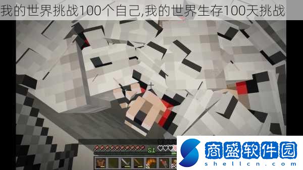 我的世界挑戰100個自己