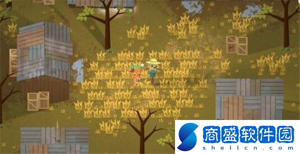 小動(dòng)物之星毒鏢槍位置大全