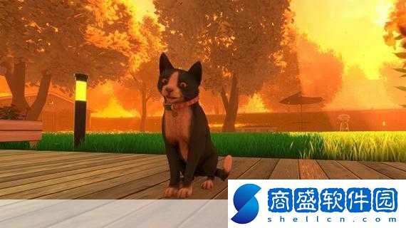 獨家揭秘冒牌貓謎