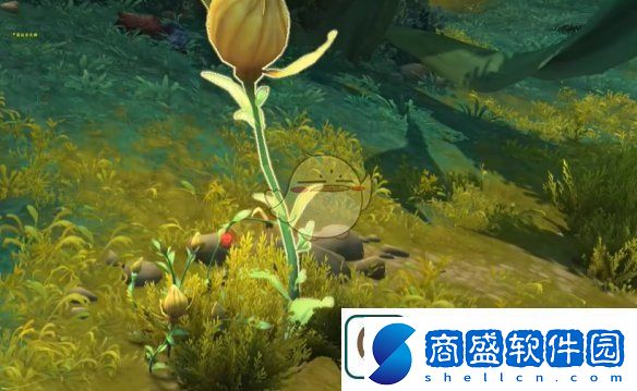 魔獸世界調味生活任務怎么做調味生活任務攻略