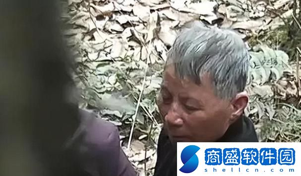 公園里的老年鏢客視頻人生